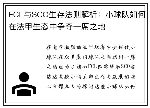 FCL与SCO生存法则解析：小球队如何在法甲生态中争夺一席之地